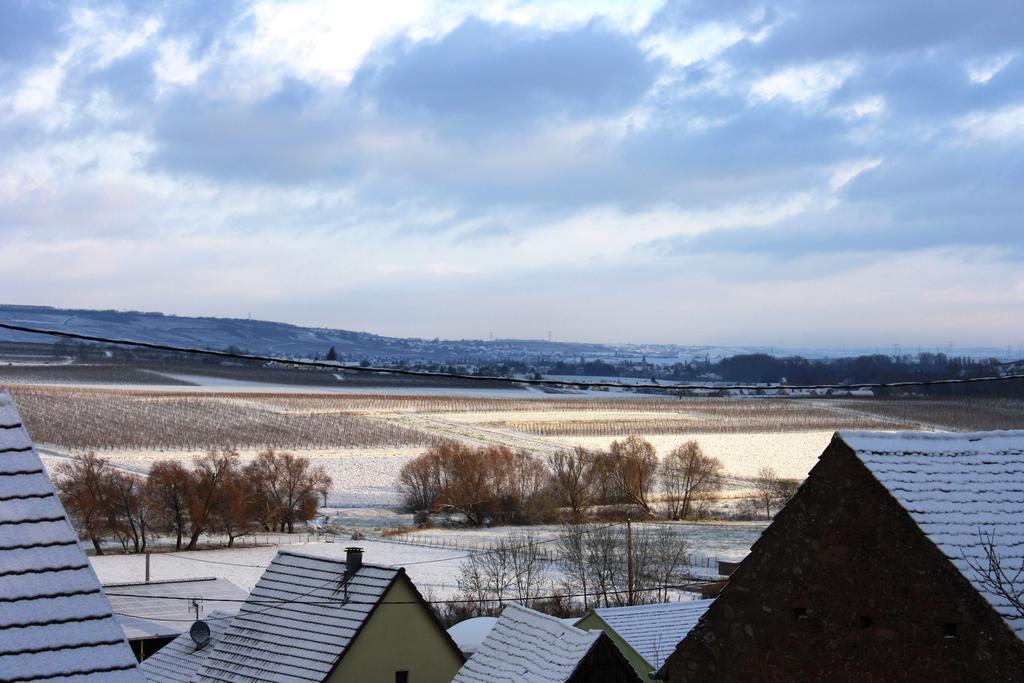 Gites Des Dix Vins Dangolsheim Esterno foto