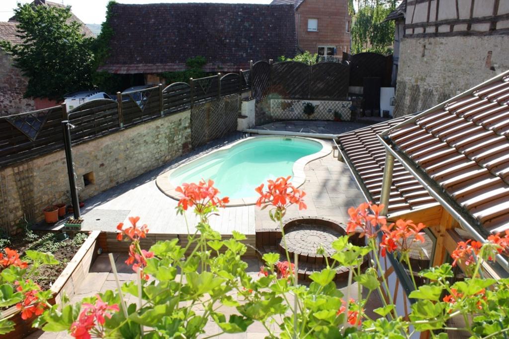 Gites Des Dix Vins Dangolsheim Esterno foto